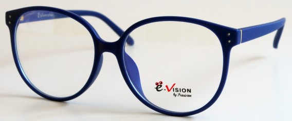 e-vision-4021