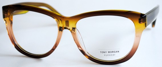 tony-morgan-0006